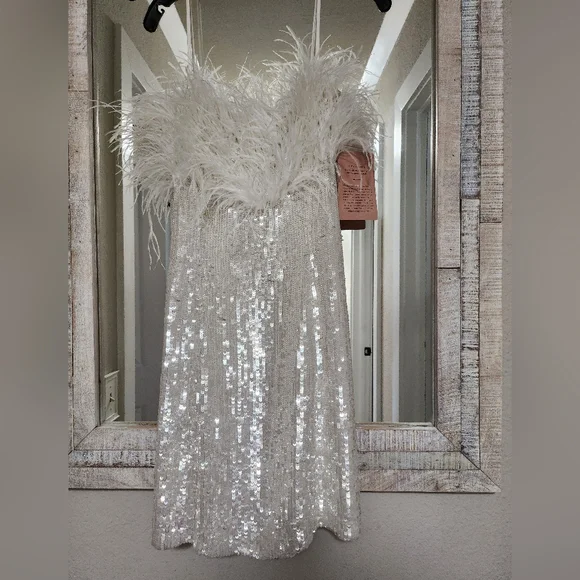 Audrey Adele Adelaide Feather & Sequin Mini Dress - Picture 7 of 11